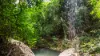 99 Rocky Creek Dam Road, Dunoon, NSW 2480-Image