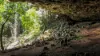 99 Rocky Creek Dam Road, Dunoon, NSW 2480-Image