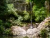 99 Rocky Creek Dam Road, Dunoon, NSW 2480-Image