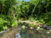 99 Rocky Creek Dam Road, Dunoon, NSW 2480-Image