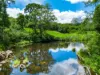 99 Rocky Creek Dam Road, Dunoon, NSW 2480-Image