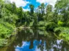 99 Rocky Creek Dam Road, Dunoon, NSW 2480-Image