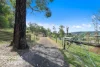 995 Darlimurla Road, Boolarra, Vic 3870-Image