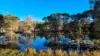 9A Amaroo Place, Cooroibah, Qld 4565-Image