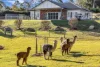 Address available on request, Bega, NSW 2550-Image