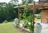 Address available on request, Curra, Qld 4570-Image