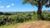 Address available on request, El Arish, Qld 4855