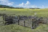 Address available on request, Lancefield, Vic 3435-Image