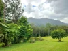 Address available on request, Nimbin, NSW 2480