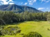 Address available on request, Nimbin, NSW 2480-Image