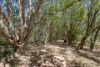 Address available on request, Veteran, Qld 4570-Image
