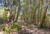 Address available on request, Veteran, Qld 4570-Image