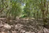 Address available on request, Veteran, Qld 4570-Image