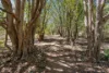 Address available on request, Veteran, Qld 4570-Image