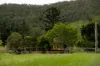 Cielo Verde Acres 922 Eastern Mary River Road, Cambroon, Qld 4552-Image