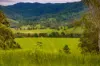 Cielo Verde Acres 922 Eastern Mary River Road, Cambroon, Qld 4552-Image
