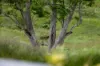 Cielo Verde Acres 922 Eastern Mary River Road, Cambroon, Qld 4552-Image