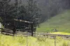 Cielo Verde Acres 922 Eastern Mary River Road, Cambroon, Qld 4552-Image