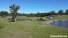 D2560A Princes Highway, Wandandian, NSW 2540-Image