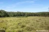 D2560A Princes Highway, Wandandian, NSW 2540-Image