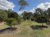 "Frog Hollow" Abercorn Road, Monto, Qld 4630-Image