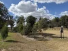 "Frog Hollow" Abercorn Road, Monto, Qld 4630-Image