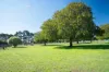 'Hawthorn Park' 83 Sheehans Road, Romsey, Vic 3434-Image