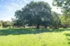 'Hawthorn Park' 83 Sheehans Road, Romsey, Vic 3434-Image