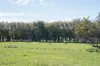 'Hawthorn Park' 83 Sheehans Road, Romsey, Vic 3434-Image