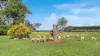 'Hawthorn Park' 83 Sheehans Road, Romsey, Vic 3434-Image