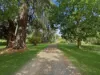 'Inverary' 7310 Illawarra Highway, Sutton Forest, NSW 2577-Image