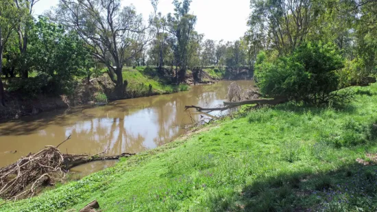 Licence 617789 Wandary Lane, Forbes, NSW 2871