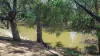 Licence 617789 Wandary Lane, Forbes, NSW 2871-Image