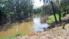 Licence 617789 Wandary Lane, Forbes, NSW 2871-Image