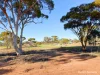 Lot 122 Parkes Street, Burracoppin, WA 6421-Image