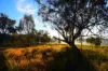 Lot 18 Hulks Road, Merriwa, NSW 2329-Image