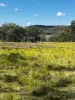Lot 18 Hulks Road, Merriwa, NSW 2329-Image