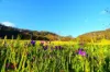 Lot 18 Hulks Road, Merriwa, NSW 2329-Image