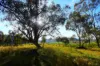 Lot 18 Hulks Road, Merriwa, NSW 2329-Image