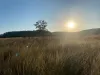 Lot 18 Hulks Road, Merriwa, NSW 2329-Image