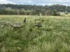 Lot 18 Hulks Road, Merriwa, NSW 2329-Image