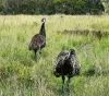 Lot 18 Hulks Road, Merriwa, NSW 2329-Image