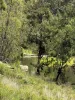 Lot 18 Hulks Road, Merriwa, NSW 2329-Image