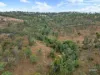 Lot 2/220 Wild Deer Drive, Taromeo, Qld 4314-Image