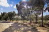 Lot 2 Patchings Road, Lake Mundi, Vic 3312-Image