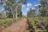 Lot 2 Patchings Road, Lake Mundi, Vic 3312-Image