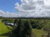 Lot 2 Sheahans Road, Long Pocket, Qld 4850-Image