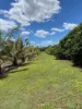 Lot 2 Sheahans Road, Long Pocket, Qld 4850-Image