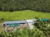 Lot 2 Sheahans Road, Long Pocket, Qld 4850-Image