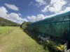 Lot 2 Sheahans Road, Long Pocket, Qld 4850-Image
